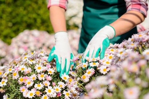Integrated pest management in a Westminster garden