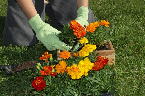 Professional landscapers working on a garden design