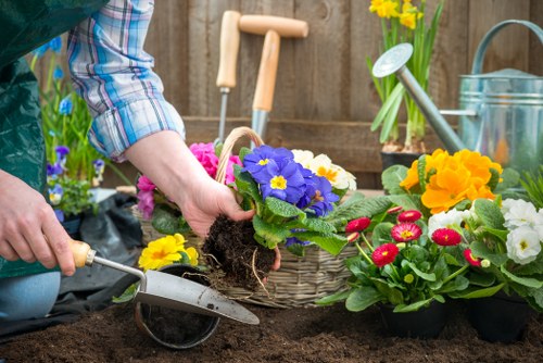 Landscaping team transforming outdoor space in Westminster