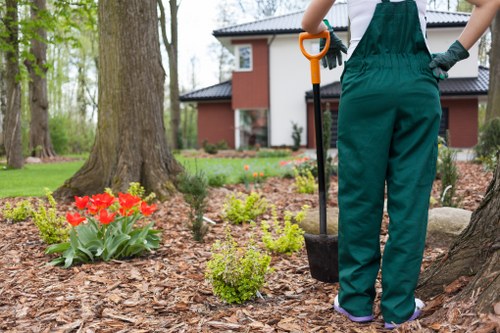 Seasonal lawn care activities in a Westminster garden
