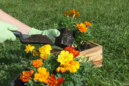 Selection of native plants ideal for landscape gardening in Westminster.