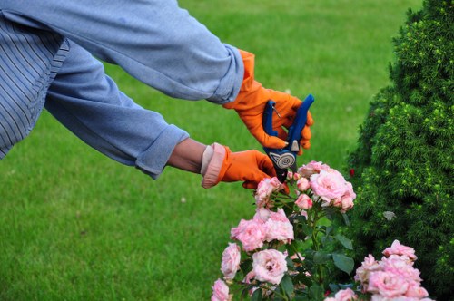 Eco-friendly hedge trimming practices in Westminster