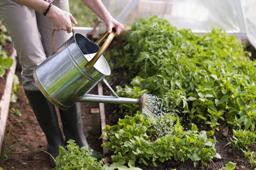 Healthy trees maintained by experts